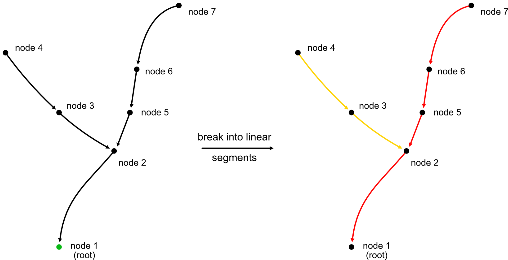 Breaking neurons into linear segments. This is the same toy skeleton used in the examples below.