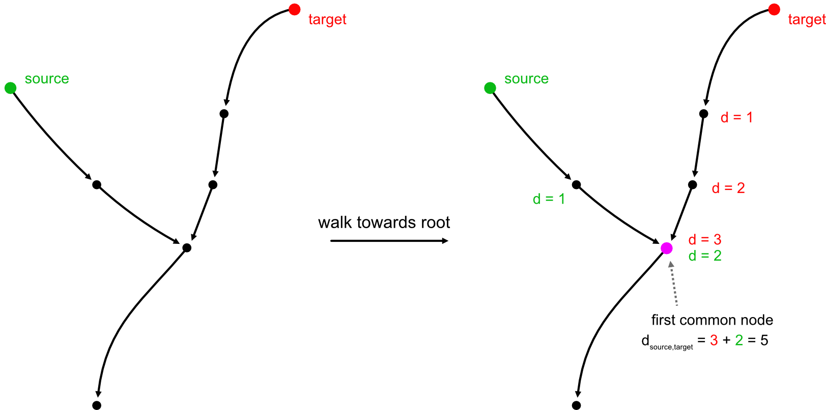 Finding the distance between two nodes.